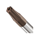 Torx with borehole