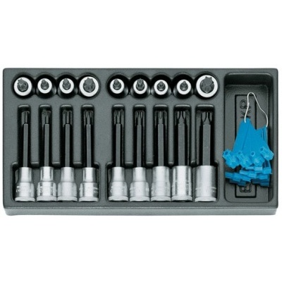 Gedore 1500 ES-ITX 19 LKP Screwdriver bit socket set 1/2" in 1/3 ES module