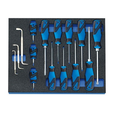 Gedore 2005 CT2-2160 Screwdriver set in 2/4 CT tool module, 15 pcs