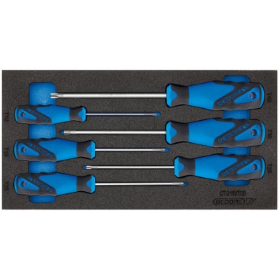 Gedore 1500 CT1-2163 TX Torx screwdriver set in 1/3 CT module